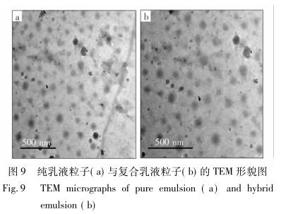 纯乳液粒子( a) 与复合乳液粒子( b) 的 TEM 形貌图