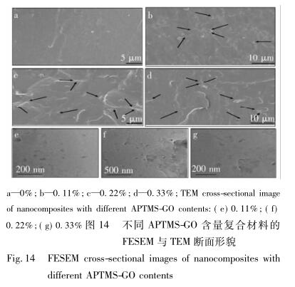 不同 APTMS-GO 含量复合材料的 FESEM 与 TEM 断面形貌