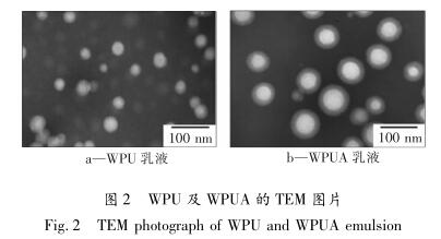 WPU 及 WPUA 的 TEM 图片