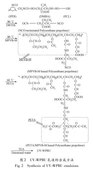 UV-WPBU 乳液的合成方法