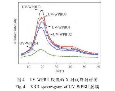 UV-WPBU 胶膜的 X 射线衍射谱图