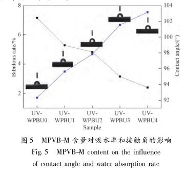 MPVB-M 含量对吸水率和接触角的影响