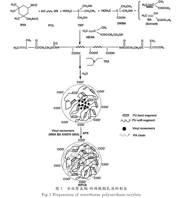 水性聚氨酯 － 丙烯酸酯乳液的制备