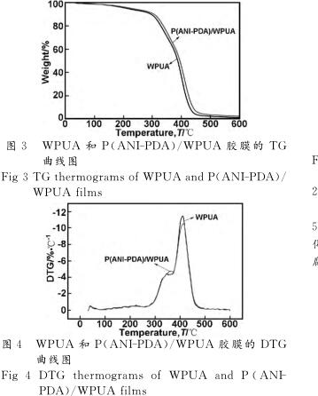 ＷＰＵＡ 和 Ｐ （ ＡＮＩ － ＰＤＡ ）／ ＷＰＵＡ 胶膜的 ＴＧ 曲线图