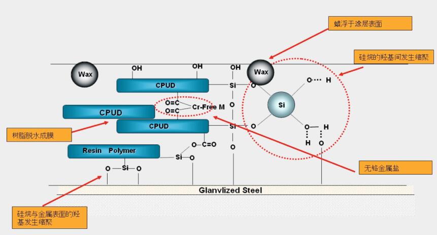 无铬钝化涂层示意图