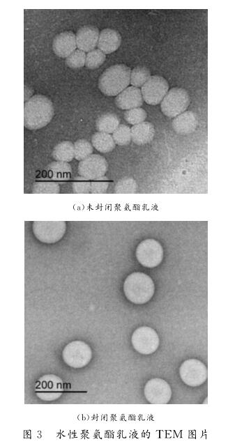 水性聚氨酯乳液的 ＴＥＭ 图片