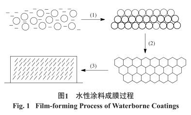 水性涂料成膜过程