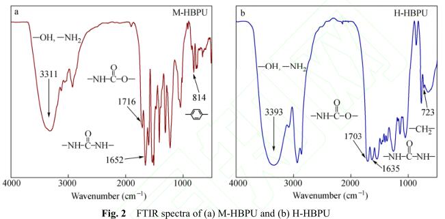 FTIR spectra of (a) M-HBPU and (b) H-HBPU