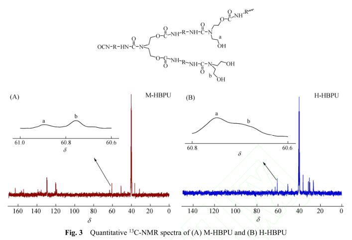 Quantitative  13 C-NMR spectra of (A) M-HBPU and (B) H-HBPU