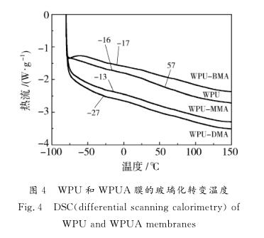 ＷＰＵ 和 ＷＰＵＡ膜的玻璃化转变温度