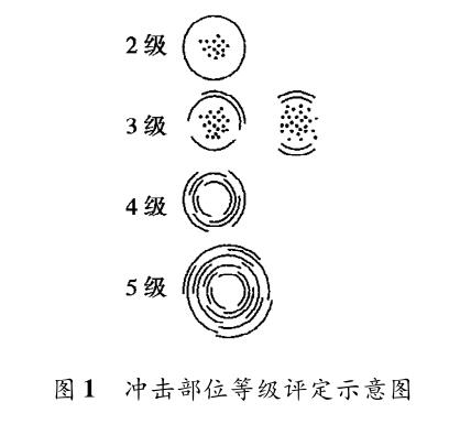 冲击部位等级评定示意图