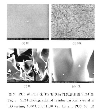 ＰＵ０ 和 ＰＵ３ 在 ＴＧ 测试后的炭层形貌 ＳＥＭ 图