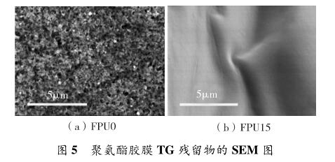 聚氨酯胶膜 TG 残留物的 SEM 图