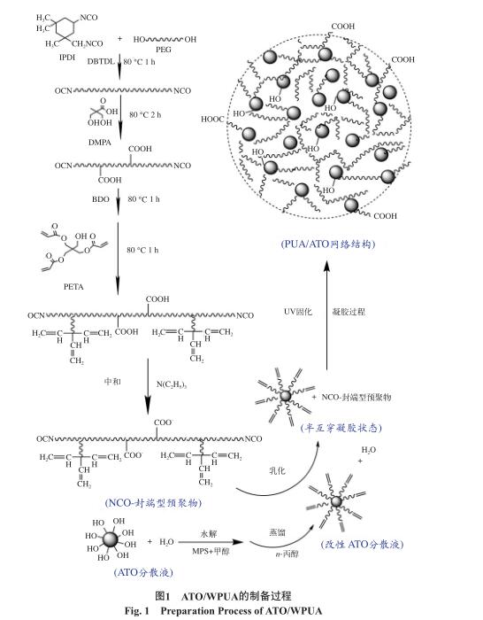 ATO/WPUA 的制备过程