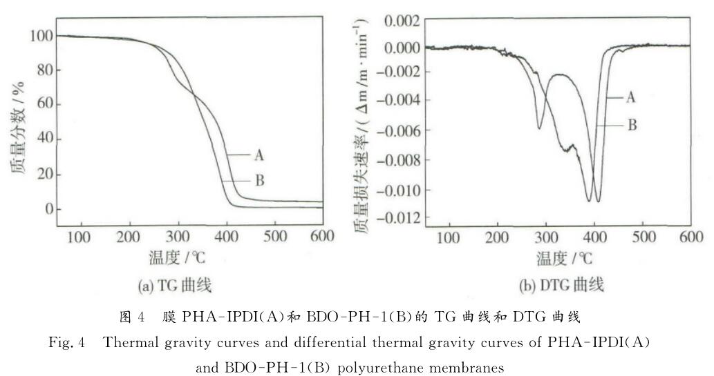  膜 ＰＨＡ － ＩＰＤＩ （ Ａ ）和 ＢＤＯ － ＰＨ － １ （ Ｂ ）的 ＴＧ 曲线和 ＤＴＧ 曲线