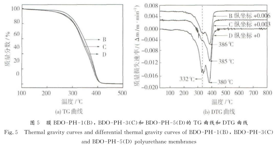  膜ＢＤＯ － ＰＨ － １ （ Ｂ ）， ＢＤＯ － ＰＨ － ３ （ Ｃ ）和ＢＤＯ － ＰＨ － ５ （ Ｄ ）的 ＴＧ曲线和 ＤＴＧ曲线