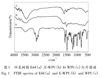 环氧树脂 E44(a)、E-WPU(b)和 WPU(c)红外图谱